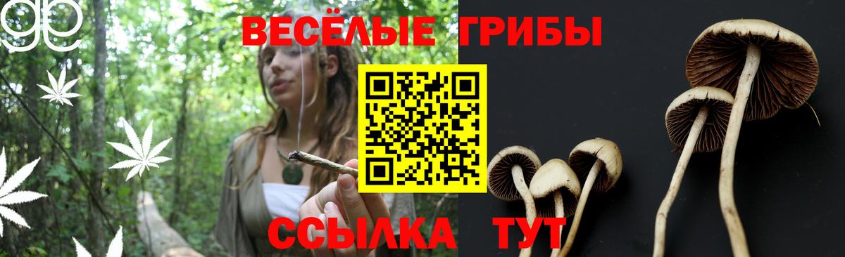 Псилоцибиновые грибы прущие грибы Елец