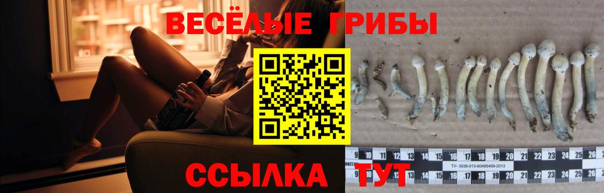 Псилоцибиновые грибы GOLDEN TEACHER  даркнет сайт  Галлюциногенные грибы ЛСД  Елец  Вход с VPN 